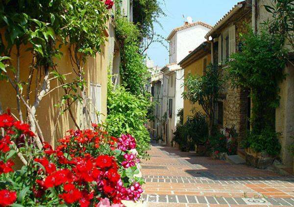 Appartement Vieil Αντίμπ Εξωτερικό φωτογραφία